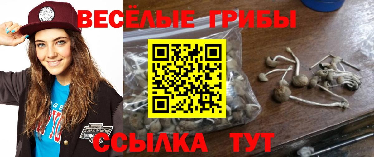 Галлюциногенные грибы GOLDEN TEACHER  Вход с VPN  Нижнеудинск 